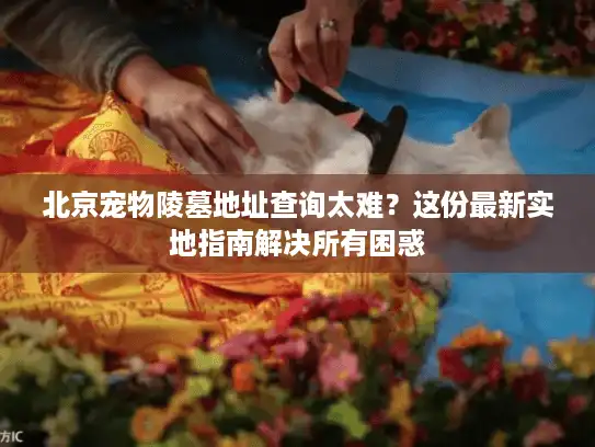 北京宠物陵墓地址查询太难？这份最新实地指南解决所有困惑