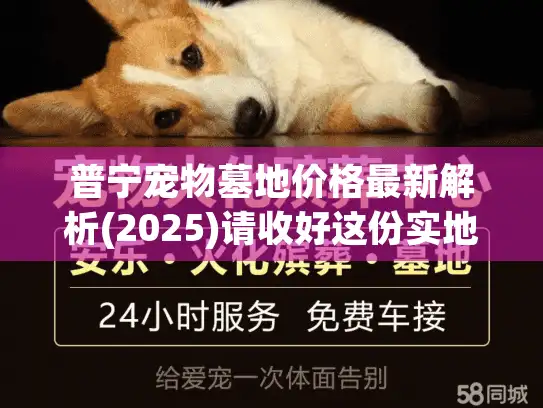 普宁宠物墓地价格最新解析(2025)请收好这份实地调查指南