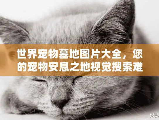 世界宠物墓地图片大全，您的宠物安息之地视觉搜索难题如何破解？