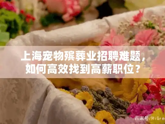上海宠物殡葬业招聘难题，如何高效找到高薪职位？