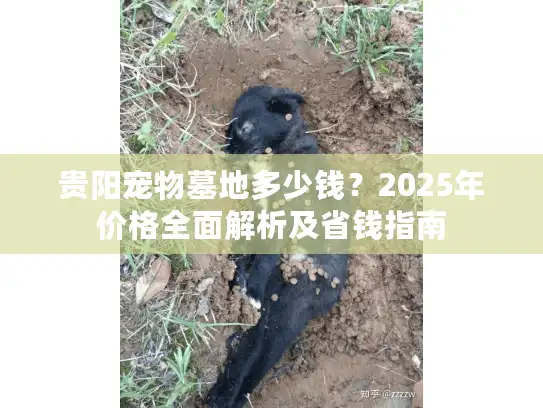 贵阳宠物墓地多少钱？2025年价格全面解析及省钱指南