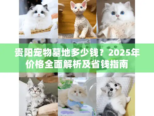 贵阳宠物墓地多少钱？2025年价格全面解析及省钱指南
