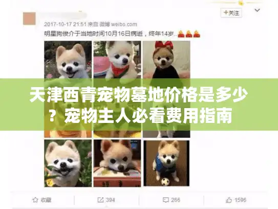 天津西青宠物墓地价格是多少？宠物主人必看费用指南