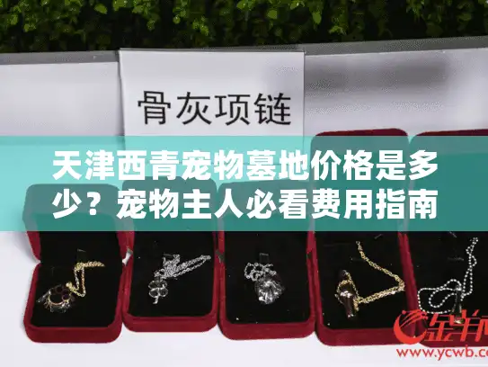 天津西青宠物墓地价格是多少？宠物主人必看费用指南