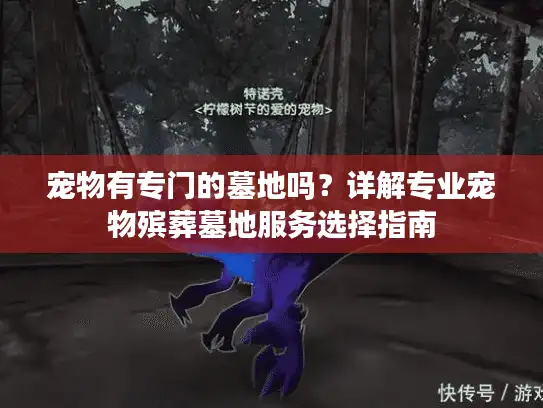宠物有专门的墓地吗？详解专业宠物殡葬墓地服务选择指南