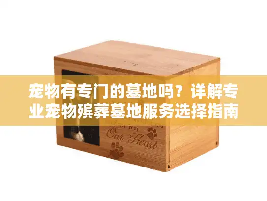 宠物有专门的墓地吗？详解专业宠物殡葬墓地服务选择指南
