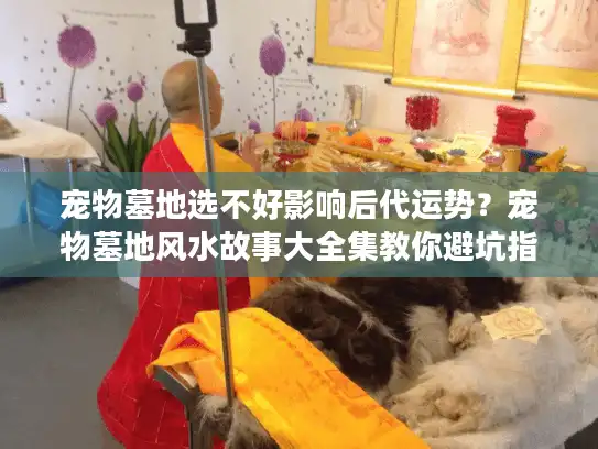 宠物墓地选不好影响后代运势？宠物墓地风水故事大全集教你避坑指南
