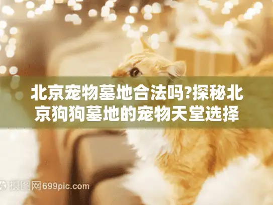 北京宠物墓地合法吗?探秘北京狗狗墓地的宠物天堂选择