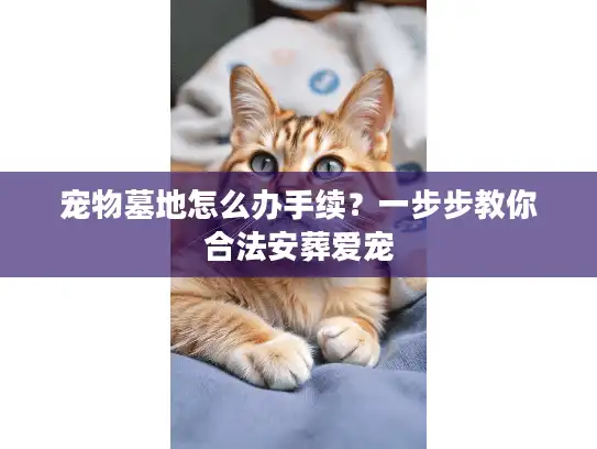 宠物墓地怎么办手续？一步步教你合法安葬爱宠