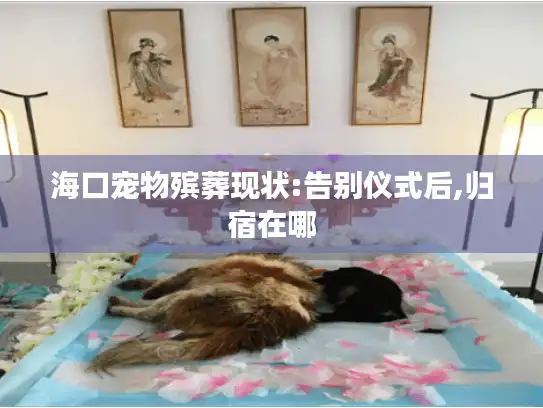 海口宠物殡葬现状:告别仪式后,归宿在哪