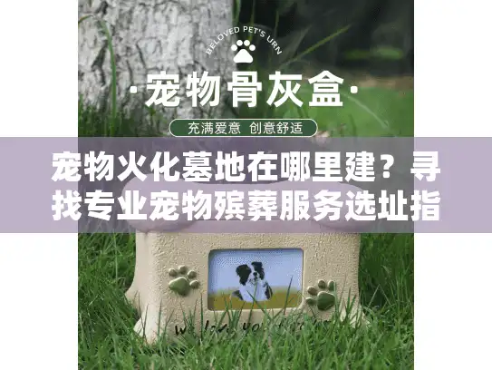 宠物火化墓地在哪里建？寻找专业宠物殡葬服务选址指南