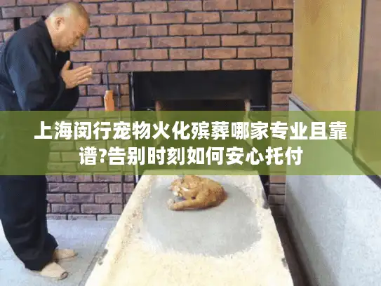 上海闵行宠物火化殡葬哪家专业且靠谱?告别时刻如何安心托付