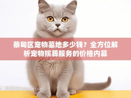 蔡甸区宠物墓地多少钱？全方位解析宠物殡葬服务的价格内幕