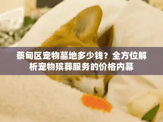 蔡甸区宠物墓地多少钱？全方位解析宠物殡葬服务的价格内幕