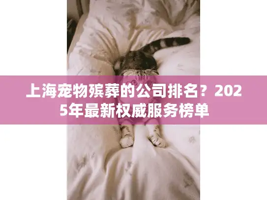 上海宠物殡葬的公司排名？2025年最新权威服务榜单