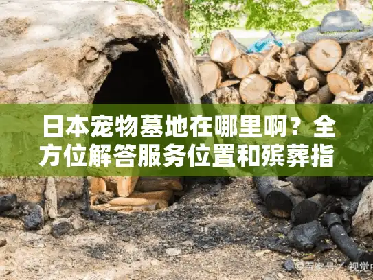 日本宠物墓地在哪里啊？全方位解答服务位置和殡葬指南