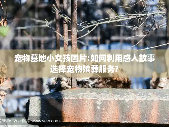 宠物墓地小女孩图片:如何利用感人故事选择宠物殡葬服务?