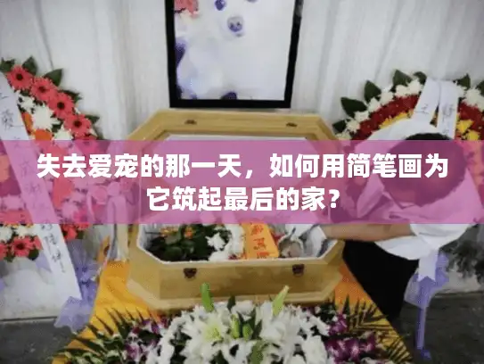 失去爱宠的那一天，如何用简笔画为它筑起最后的家？