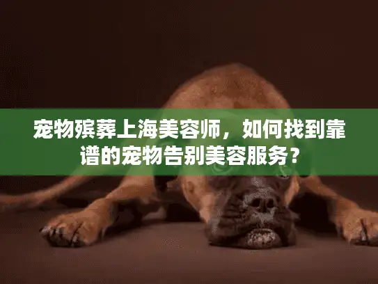宠物殡葬上海美容师，如何找到靠谱的宠物告别美容服务？