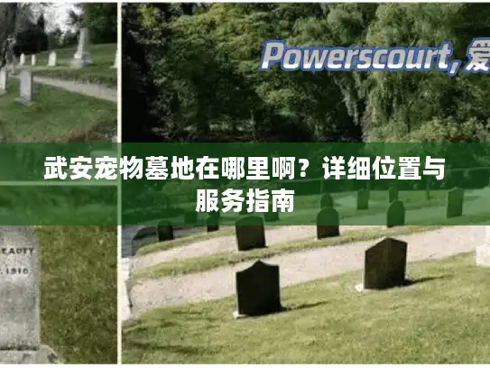 武安宠物墓地在哪里啊？详细位置与服务指南
