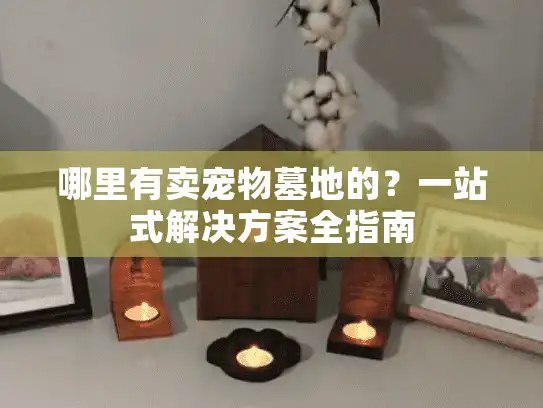 哪里有卖宠物墓地的？一站式解决方案全指南