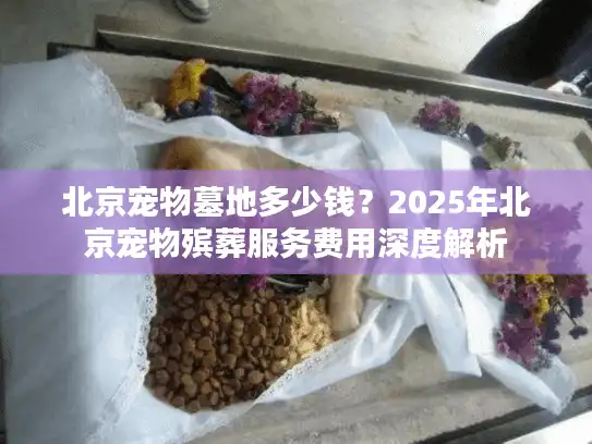北京宠物墓地多少钱？2025年北京宠物殡葬服务费用深度解析