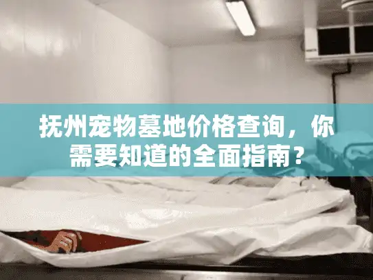 抚州宠物墓地价格查询，你需要知道的全面指南？