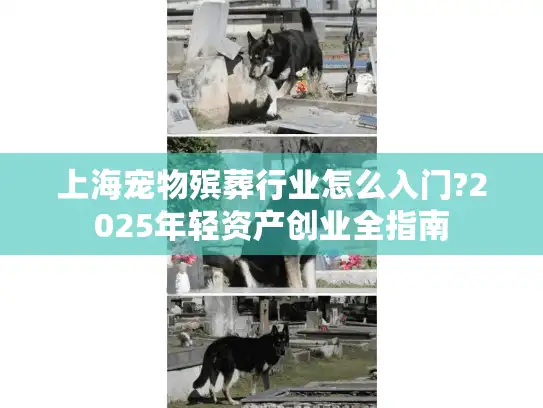 上海宠物殡葬行业怎么入门?2025年轻资产创业全指南