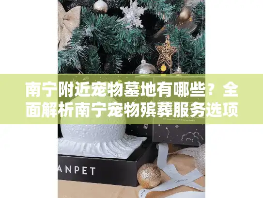 南宁附近宠物墓地有哪些？全面解析南宁宠物殡葬服务选项