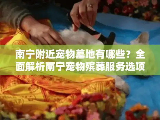 南宁附近宠物墓地有哪些？全面解析南宁宠物殡葬服务选项