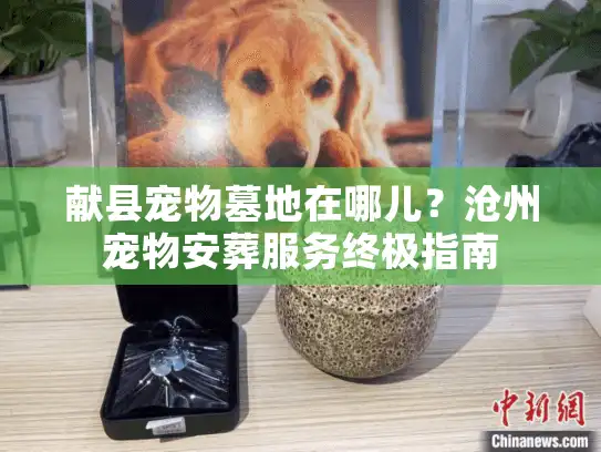 献县宠物墓地在哪儿？沧州宠物安葬服务终极指南
