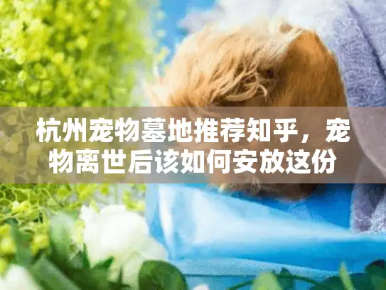 杭州宠物墓地推荐知乎，宠物离世后该如何安放这份情感？