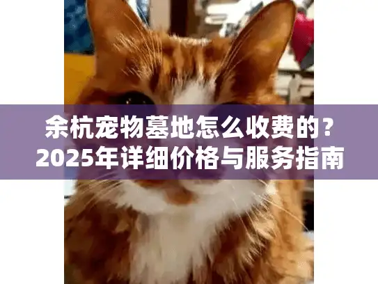 余杭宠物墓地怎么收费的？2025年详细价格与服务指南