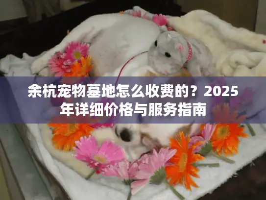余杭宠物墓地怎么收费的？2025年详细价格与服务指南
