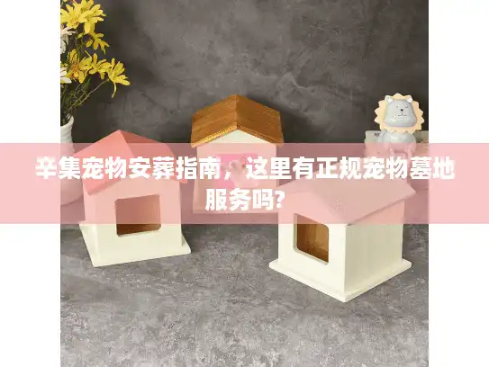 辛集宠物安葬指南，这里有正规宠物墓地服务吗?