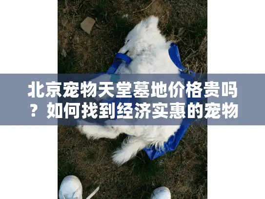 北京宠物天堂墓地价格贵吗？如何找到经济实惠的宠物安葬服务？