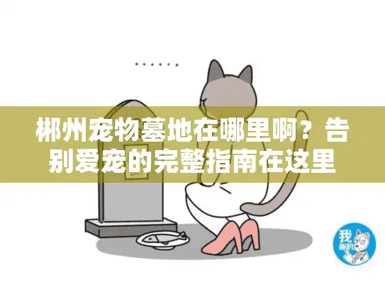郴州宠物墓地在哪里啊？告别爱宠的完整指南在这里