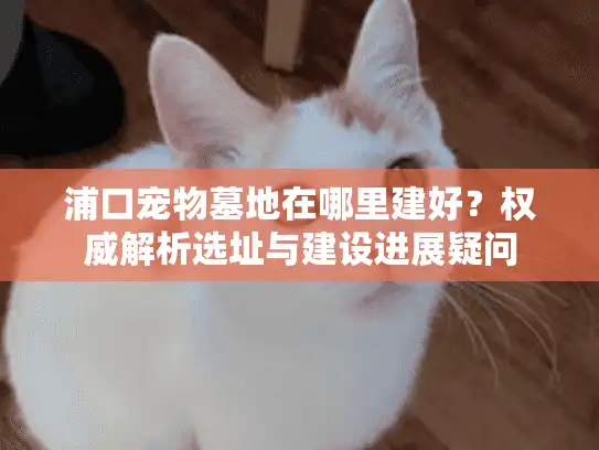 浦口宠物墓地在哪里建好？权威解析选址与建设进展疑问