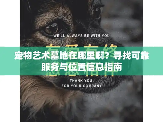 宠物艺术墓地在哪里啊？寻找可靠服务与位置信息指南