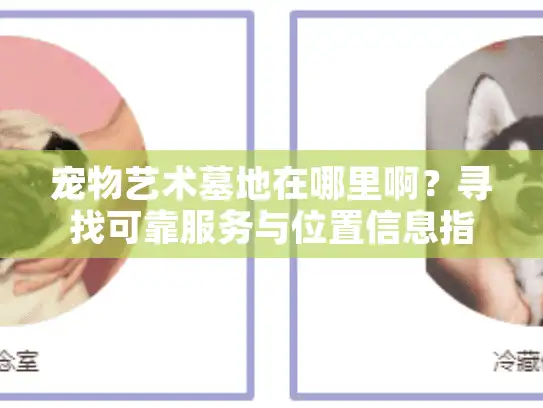 宠物艺术墓地在哪里啊？寻找可靠服务与位置信息指南