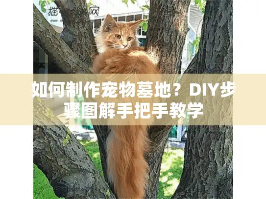 如何制作宠物墓地？DIY步骤图解手把手教学