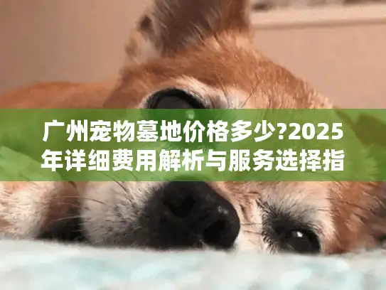 广州宠物墓地价格多少?2025年详细费用解析与服务选择指南