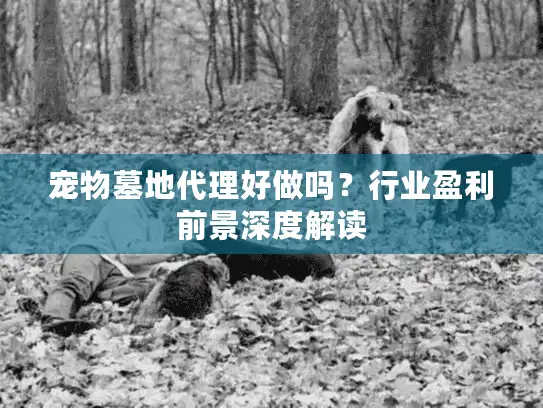 宠物墓地代理好做吗？行业盈利前景深度解读