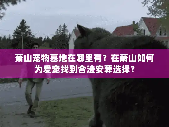 萧山宠物墓地在哪里有？在萧山如何为爱宠找到合法安葬选择？