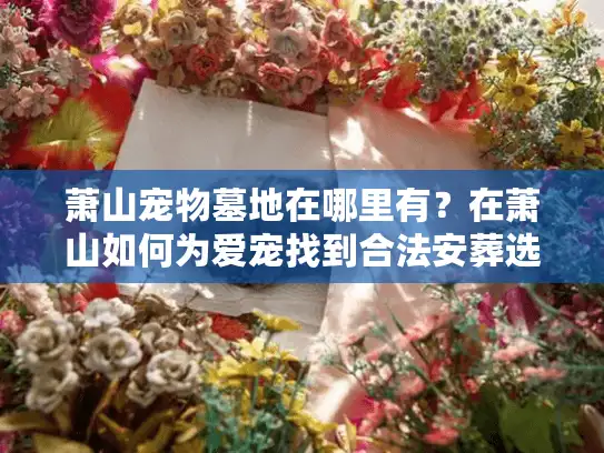 萧山宠物墓地在哪里有？在萧山如何为爱宠找到合法安葬选择？
