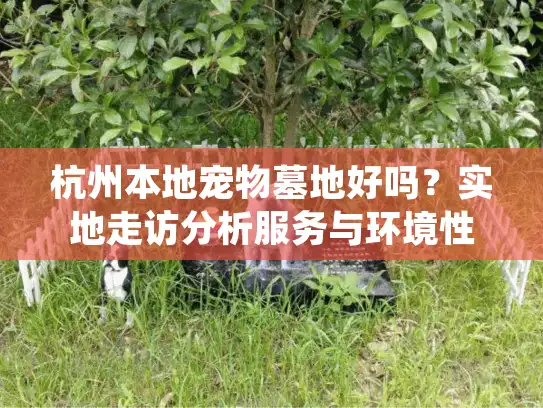 杭州本地宠物墓地好吗？实地走访分析服务与环境性价比