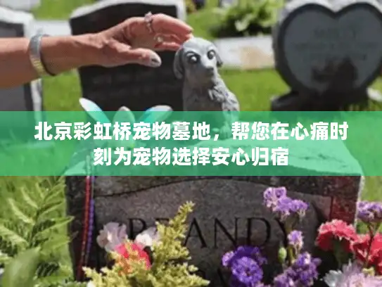 北京彩虹桥宠物墓地，帮您在心痛时刻为宠物选择安心归宿