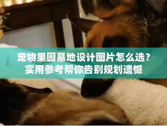 宠物果园墓地设计图片怎么选？实用参考帮你告别规划遗憾