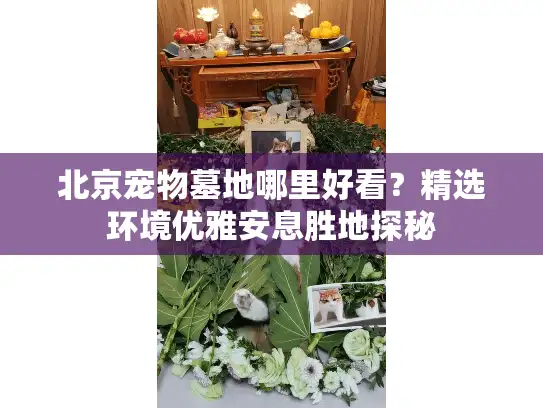 北京宠物墓地哪里好看？精选环境优雅安息胜地探秘
