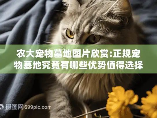 农大宠物墓地图片欣赏:正规宠物墓地究竟有哪些优势值得选择?
